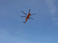 IMG 7429