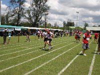 IMG 8794
