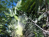IMG 4883