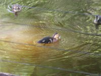 IMG 4562