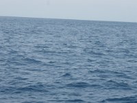 P7133232