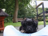 IMG 4737