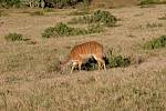 IMG_8463.jpg