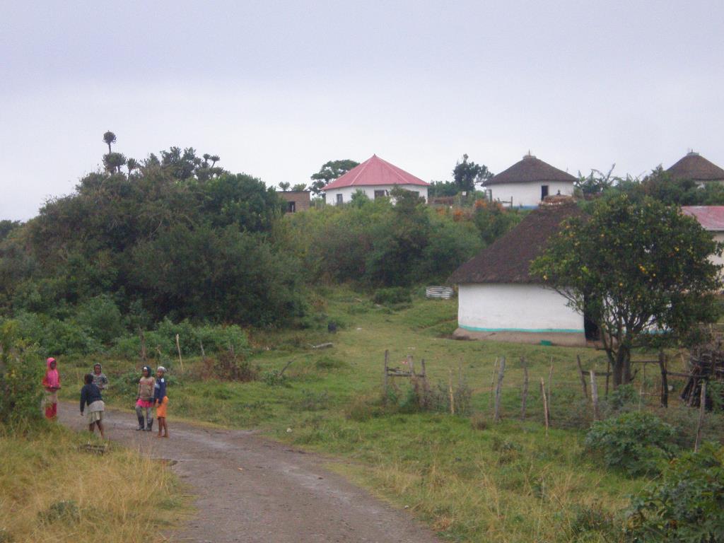 P6080186.JPG