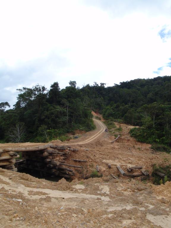 P2220044.JPG