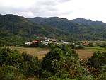 P2220057.jpg